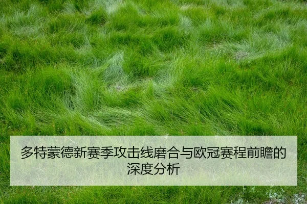 多特蒙德新赛季攻击线磨合与欧冠赛程前瞻的深度分析